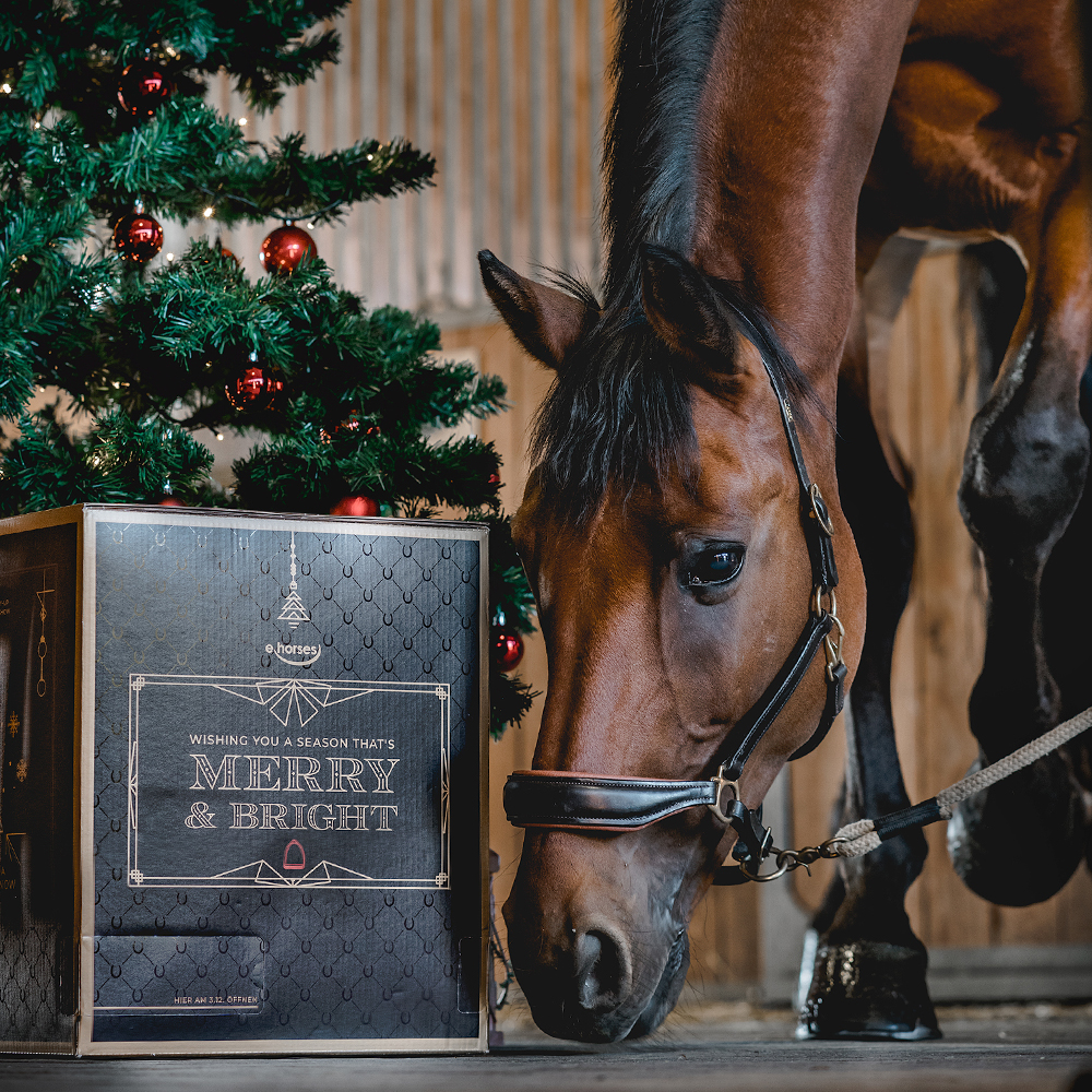Geschenke für Reiter: Pferde Adventskalender